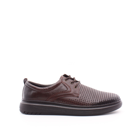Полуботинки коричневые перфорированные SHOIBERG